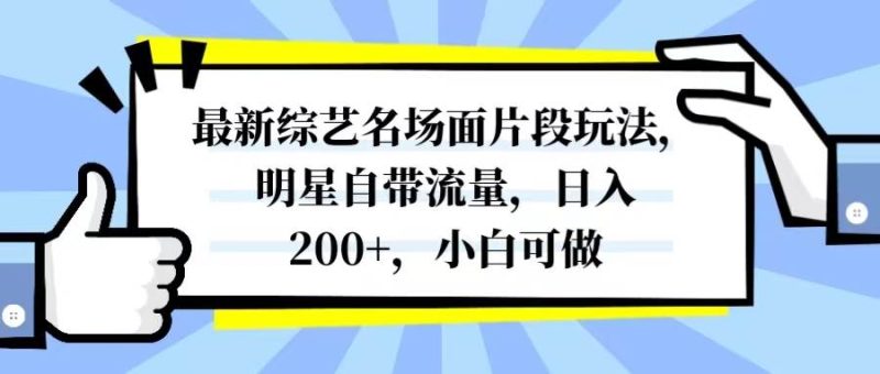 （8114期）最新综艺名场面片段玩法，明星自带流量，日入200+，小白可做网赚项目-副业赚钱-互联网创业-独家轻创IP星泽云创