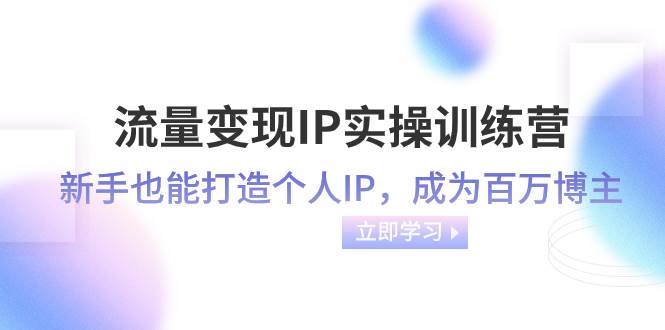 （8134期）流量变现-IP实操训练营：新手也能打造个人IP，成为百万 博主（46节课）网赚项目-副业赚钱-互联网创业-独家轻创IP星泽云创
