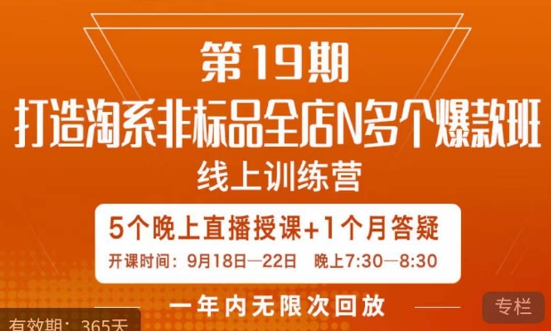 钟辰·拼多多单品爆款班，一个拼多多超级爆款养一个团队网赚项目-副业赚钱-互联网创业-独家轻创IP星泽云创