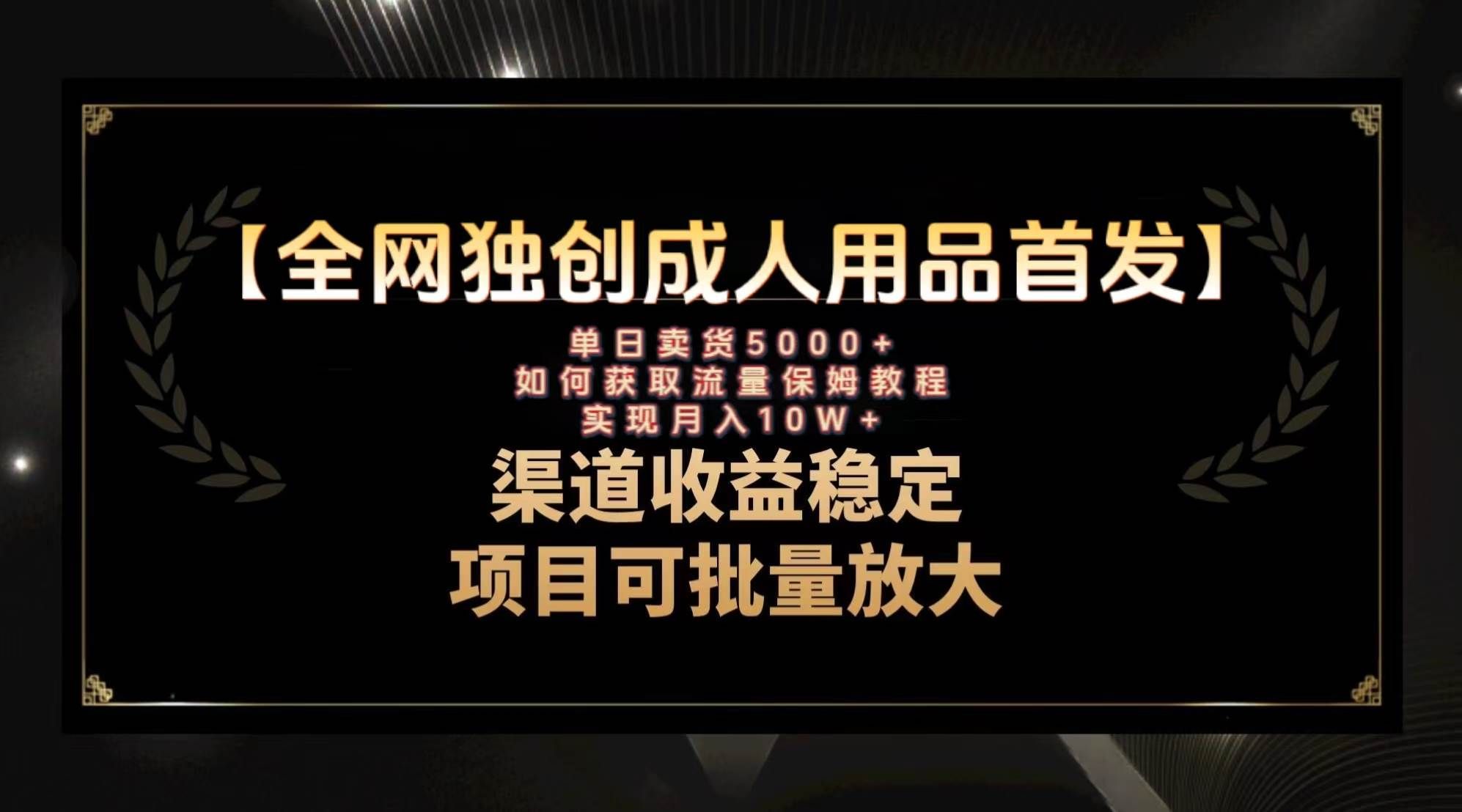 （8128期）最新全网独创首发，成人用品赛道引流获客，月入10w保姆级教程网赚项目-副业赚钱-互联网创业-独家轻创IP星泽云创