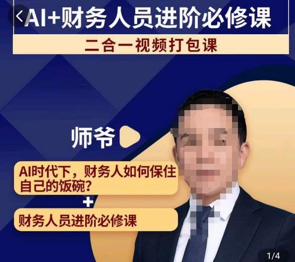 AI+财务人员进阶必修课二合一视频打包课，财务人员进阶必修课网赚项目-副业赚钱-互联网创业-独家轻创IP星泽云创
