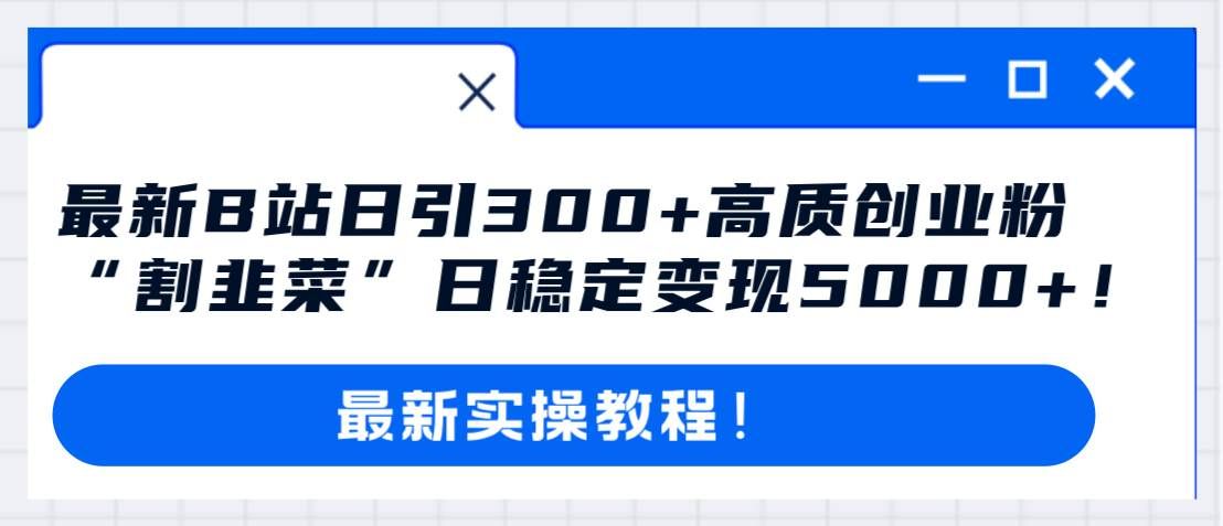（8216期）最新B站日引300+高质创业粉教程！“割韭菜”日稳定变现5000+！网赚项目-副业赚钱-互联网创业-独家轻创IP星泽云创