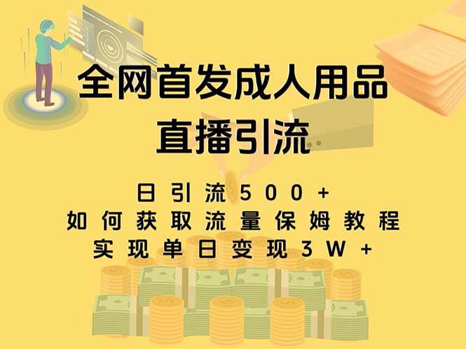 （8193期）最新全网独创首发，成人用品直播引流获客暴力玩法，单日变现3w保姆级教程网赚项目-副业赚钱-互联网创业-独家轻创IP星泽云创