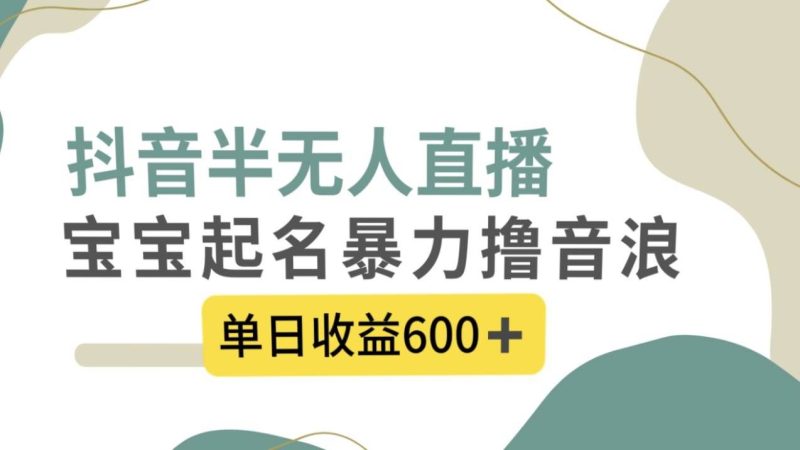 （8192期）抖音半无人直播，宝宝起名，暴力撸音浪，单日收益600+网赚项目-副业赚钱-互联网创业-独家轻创IP星泽云创