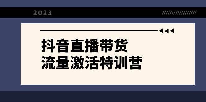 （8185期）抖音直播带货-流量激活特训营，入行新手小白主播必学（21节课+资料）网赚项目-副业赚钱-互联网创业-独家轻创IP星泽云创