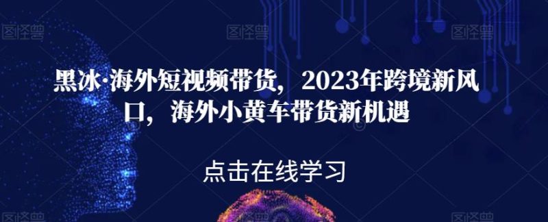 黑冰·海外短视频带货,2023年跨境新风口,海外小黄车带货新机遇网赚项目-副业赚钱-互联网创业-独家轻创IP星泽云创