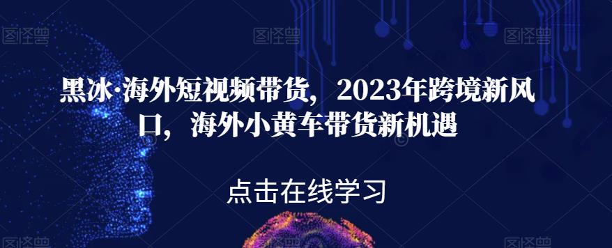 黑冰·海外短视频带货，2023年跨境新风口，海外小黄车带货新机遇网赚项目-副业赚钱-互联网创业-独家轻创IP星泽云创