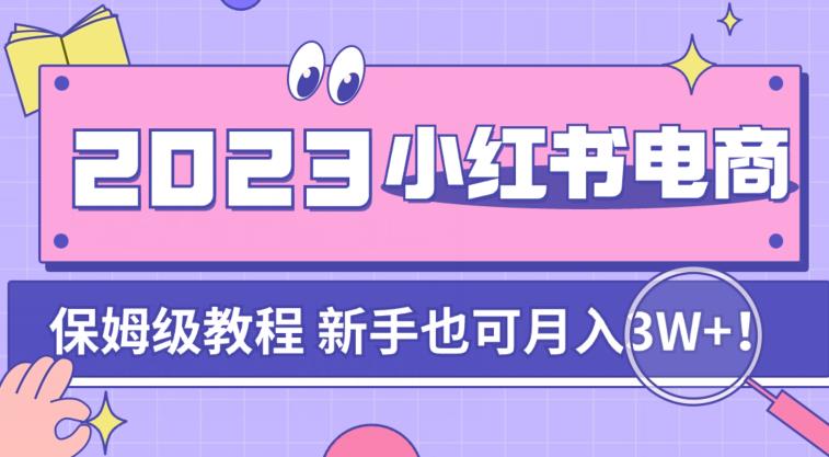 阿本小红书电商陪跑营4.0，带大家从0到1把小红书做起来网赚项目-副业赚钱-互联网创业-独家轻创IP星泽云创