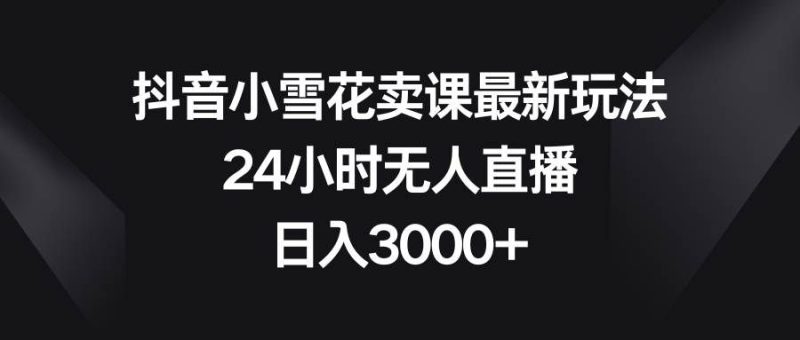 （8322期）抖音小雪花卖课最新玩法，24小时无人直播，日入3000+网赚项目-副业赚钱-互联网创业-独家轻创IP星泽云创