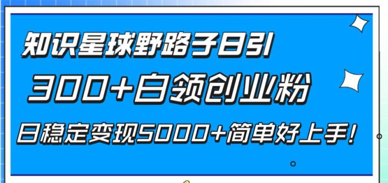 (8315期)知识星球野路子日引300+白领创业粉,日稳定变现5000+简单好上手!网赚项目-副业赚钱-互联网创业-独家轻创IP星泽云创