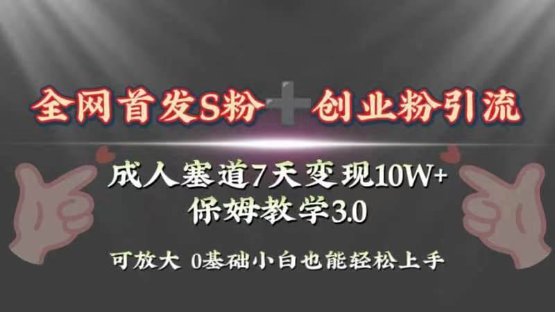 （8337期）全网首发s粉加创业粉引流变现，成人用品赛道7天变现10w+保姆教学3.0网赚项目-副业赚钱-互联网创业-独家轻创IP星泽云创