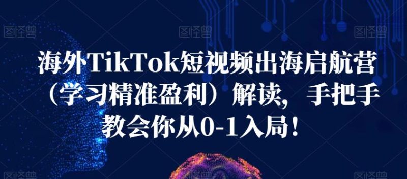 海外TikTok短视频出海启航营（学习精准盈利）解读，手把手教会你从0-1入局！网赚项目-副业赚钱-互联网创业-独家轻创IP星泽云创