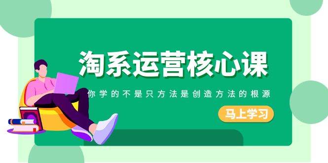 （8392期）淘系-运营核心课，你学的不是只方法是创造方法的根源（190节课）网赚项目-副业赚钱-互联网创业-独家轻创IP星泽云创