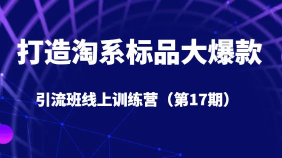 打造淘系标品大爆款引流班线上训练营5天直播授课网赚项目-副业赚钱-互联网创业-独家轻创IP星泽云创