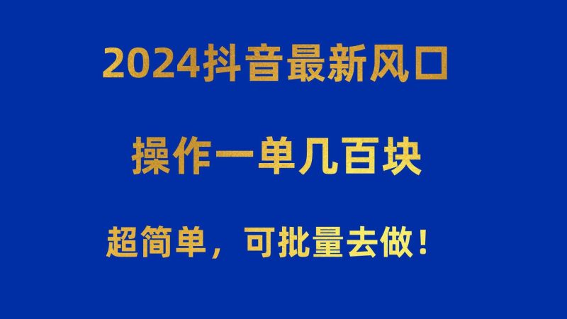 （10413期）2024抖音最新风口！操作一单几百块！超简单，可批量去做！！！网赚项目-副业赚钱-互联网创业-独家轻创IP星泽云创