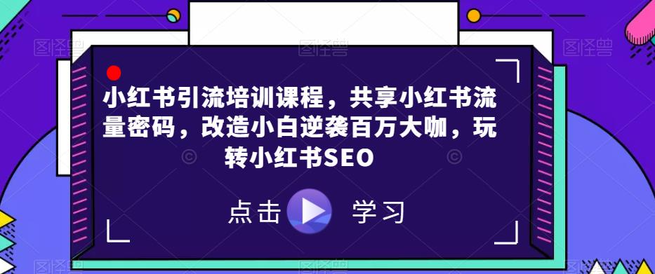 小红书引流培训课程，共享小红书流量密码，改造小白逆袭百万大咖，玩转小红书SEO网赚项目-副业赚钱-互联网创业-独家轻创IP星泽云创