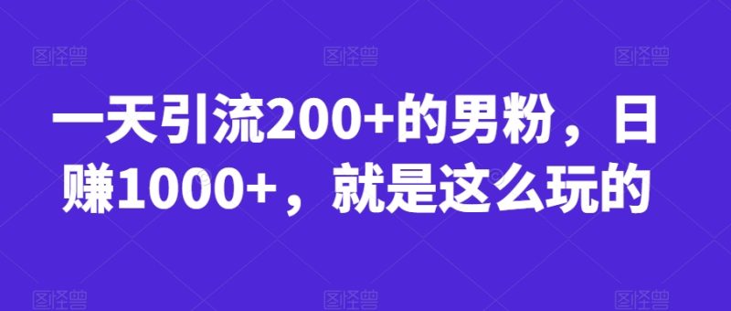 一天引流200+的男粉，日赚1000+，就是这么玩的【揭秘】网赚项目-副业赚钱-互联网创业-独家轻创IP星泽云创