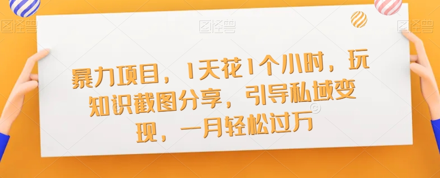 暴力项目，1天花1个小时，玩知识截图分享，引导私域变现，一月轻松过万【截图】网赚项目-副业赚钱-互联网创业-独家轻创IP星泽云创