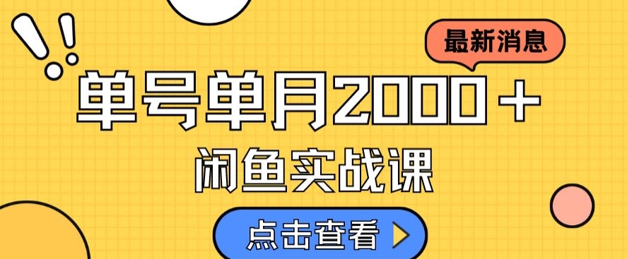 最新闲鱼日入500＋，虚拟资料变现喂饭级讲解网赚项目-副业赚钱-互联网创业-独家轻创IP星泽云创