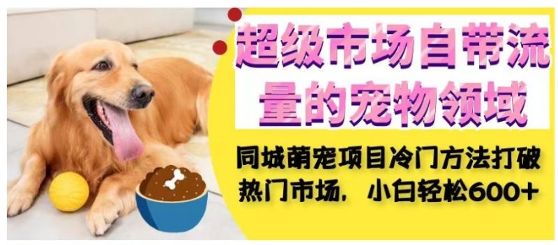 超级市场自带流量的宠物领域，同城萌宠项目冷门方法打破热门市场，小白轻松600+网赚项目-副业赚钱-互联网创业-独家轻创IP星泽云创