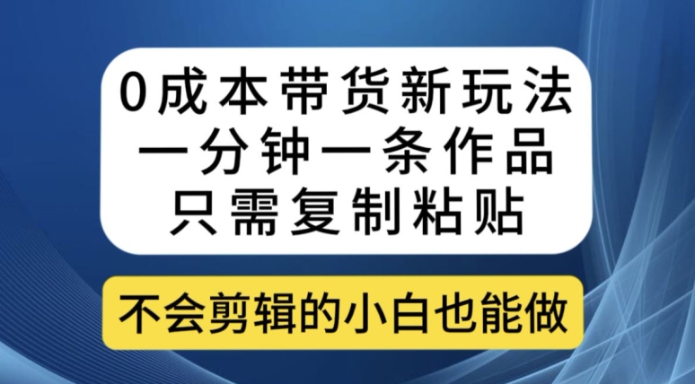 0成本带货新玩法，一分钟一条作品，只需复制粘贴就可以做网赚项目-副业赚钱-互联网创业-独家轻创IP星泽云创