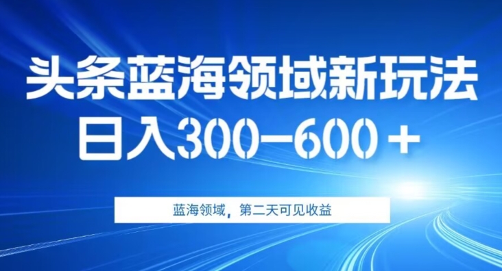 AI头条野路子蓝海领域新玩法2.0，日入300-600＋，附保姆级教程【揭秘】网赚项目-副业赚钱-互联网创业-独家轻创IP星泽云创
