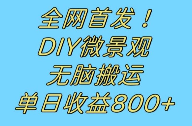全网首发冷门赛道!DIY微景观,无脑搬运视频,日收益800+【揭秘】网赚项目-副业赚钱-互联网创业-独家轻创IP星泽云创
