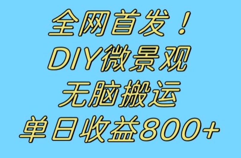 全网首发冷门赛道！DIY微景观，无脑搬运视频，日收益800+【揭秘】网赚项目-副业赚钱-互联网创业-独家轻创IP星泽云创
