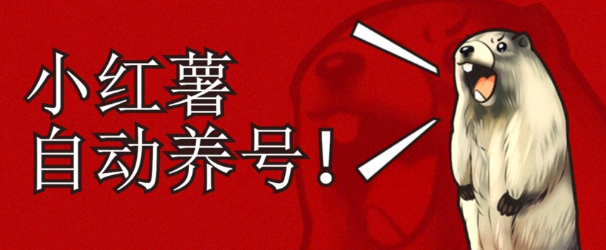 小红书养号秘籍，如何自动涨粉清晰系统标签打造高权重账号【揭秘】网赚项目-副业赚钱-互联网创业-独家轻创IP星泽云创