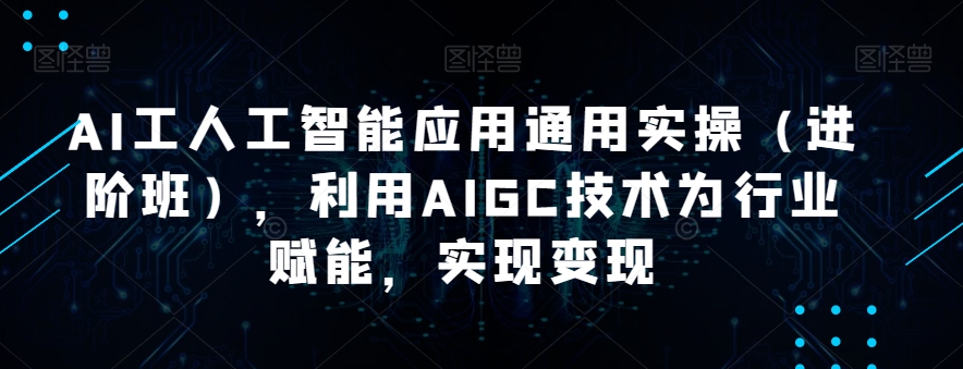 AI工人工智能应用通用实操（进阶班），利用AIGC技术为行业赋能，实现变现网赚项目-副业赚钱-互联网创业-独家轻创IP星泽云创