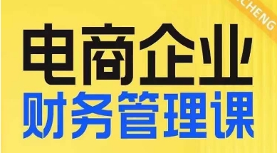 电商企业财务管理线上课，为电商企业规划财税网赚项目-副业赚钱-互联网创业-独家轻创IP星泽云创