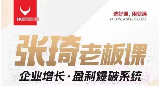 【组合课】张琦张琦老板企业增长·盈利爆破系统（直播专享）网赚项目-副业赚钱-互联网创业-独家轻创IP星泽云创