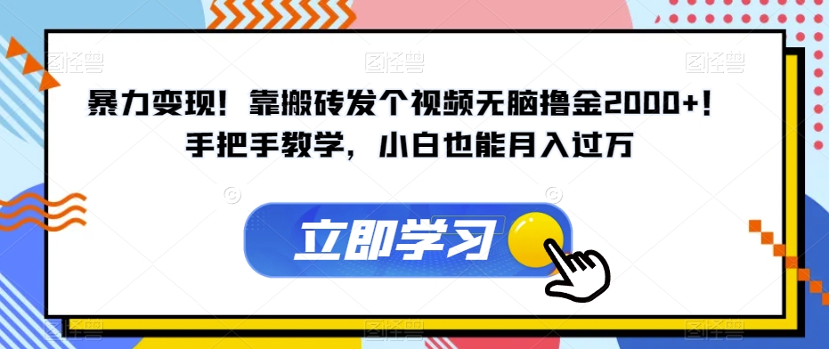 暴力变现！靠搬砖发个视频无脑撸金2000+！手把手教学，小白也能月入过万【揭秘】网赚项目-副业赚钱-互联网创业-独家轻创IP星泽云创