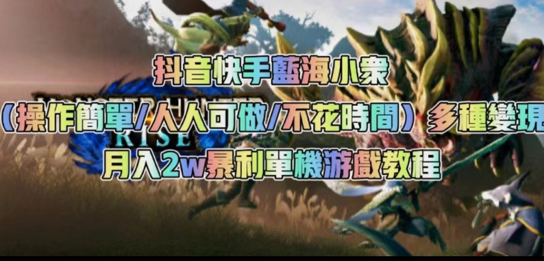 抖音快手蓝海小众（操作简单人人可做不花时间）多种变现月入2w＋暴利单机游戏教程网赚项目-副业赚钱-互联网创业-独家轻创IP星泽云创