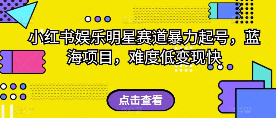 小红书娱乐明星赛道暴力起号，蓝海项目，难度低变现快【揭秘】网赚项目-副业赚钱-互联网创业-独家轻创IP星泽云创
