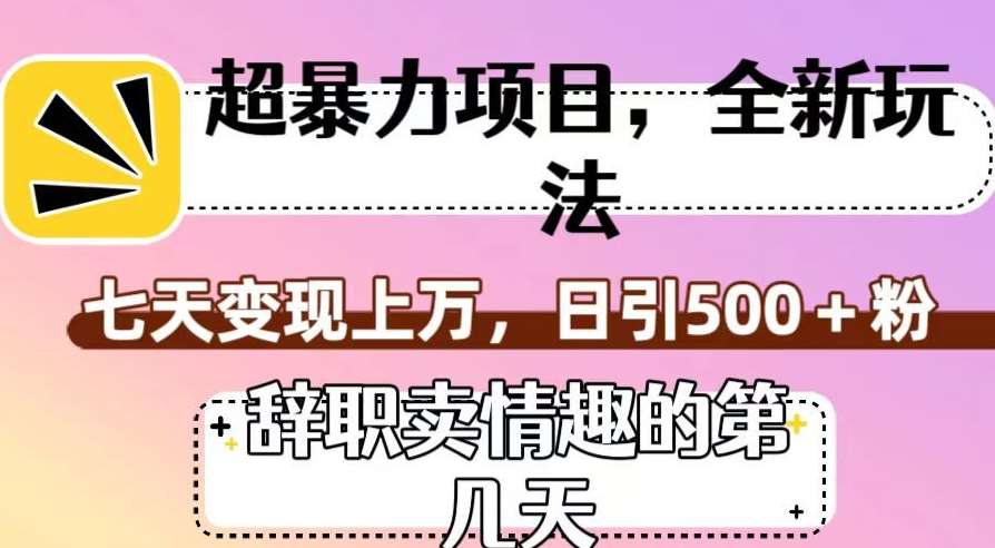 超暴利项目，全新玩法（辞职卖情趣的第几天），七天变现上万，日引500+粉【揭秘】网赚项目-副业赚钱-互联网创业-独家轻创IP星泽云创