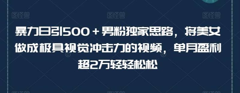 暴力日引500＋男粉独家思路，将美女做成极具视觉冲击力的视频，单月盈利超2万轻轻松松网赚项目-副业赚钱-互联网创业-独家轻创IP星泽云创