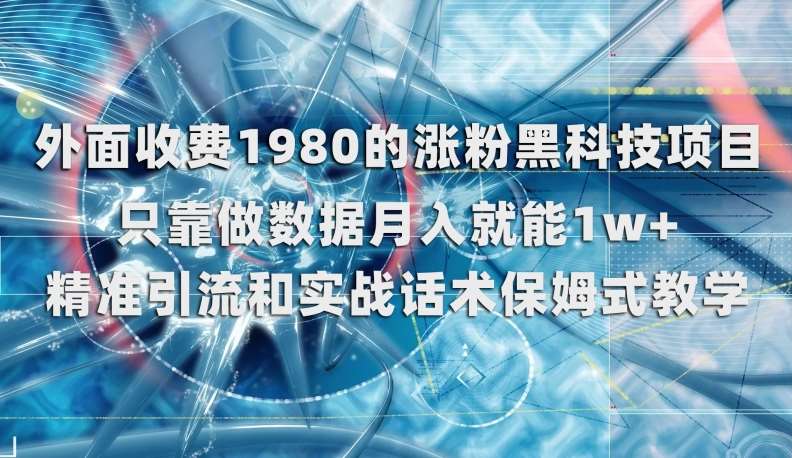 外面收费1980的涨粉黑科技项目，只靠做数据月入就能1w+【揭秘】网赚项目-副业赚钱-互联网创业-独家轻创IP星泽云创