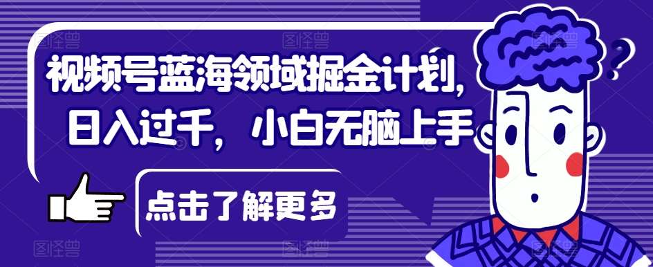 视频号蓝海领域掘金计划，日入过千，小白无脑上手【揭秘】网赚项目-副业赚钱-互联网创业-独家轻创IP星泽云创