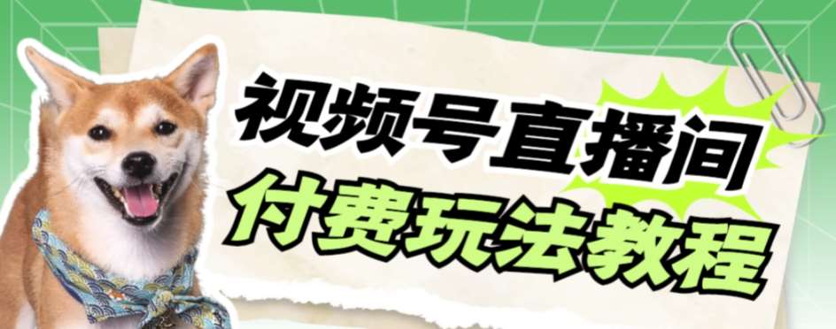 视频号美女付费无人直播，轻松日入500+【详细玩法教程】网赚项目-副业赚钱-互联网创业-独家轻创IP星泽云创