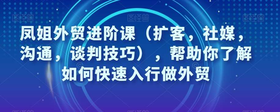 凤姐外贸进阶课（扩客，社媒，沟通，谈判技巧），帮助你了解如何快速入行做外贸网赚项目-副业赚钱-互联网创业-独家轻创IP星泽云创