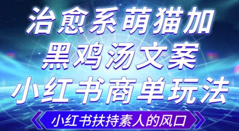 治愈系萌猫加+黑鸡汤文案，小红书商单玩法，3~10天涨到1000粉，一单200左右网赚项目-副业赚钱-互联网创业-独家轻创IP星泽云创