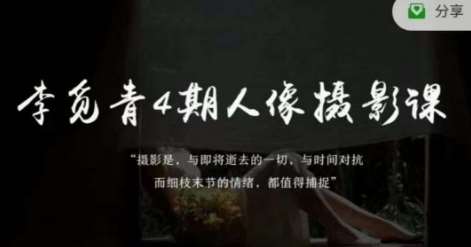 李觅青4期人像摄影线上课，审美/前期策划/拍摄/人像精修/调色网赚项目-副业赚钱-互联网创业-独家轻创IP星泽云创