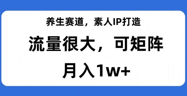 养生赛道，素人IP打造，流量很大，可矩阵，月入1w+【揭秘】网赚项目-副业赚钱-互联网创业-独家轻创IP星泽云创