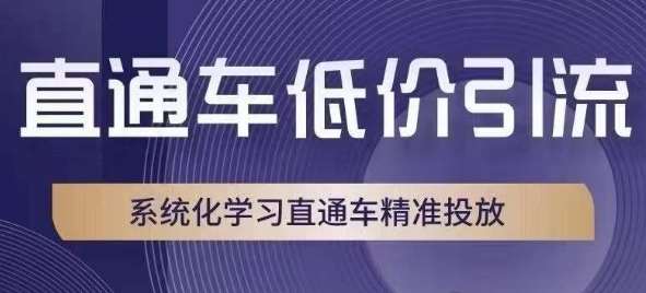 直通车低价引流课，系统化学习直通车精准投放网赚项目-副业赚钱-互联网创业-独家轻创IP星泽云创