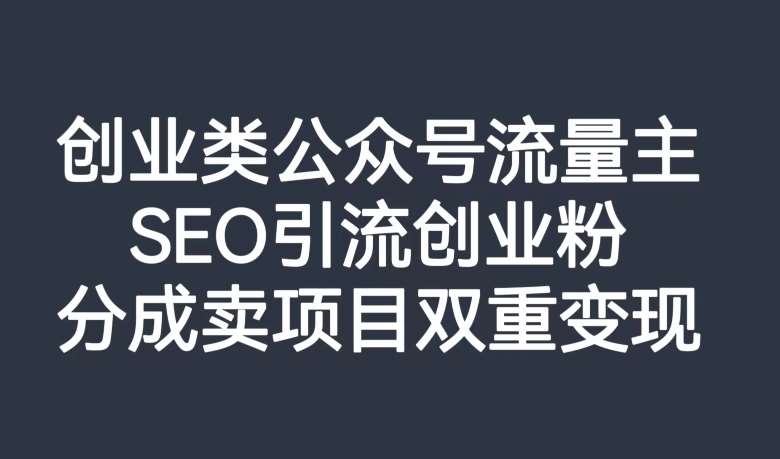 创业类公众号流量主，SEO引流创业粉，分成卖项目双重变现【揭秘】网赚项目-副业赚钱-互联网创业-独家轻创IP星泽云创