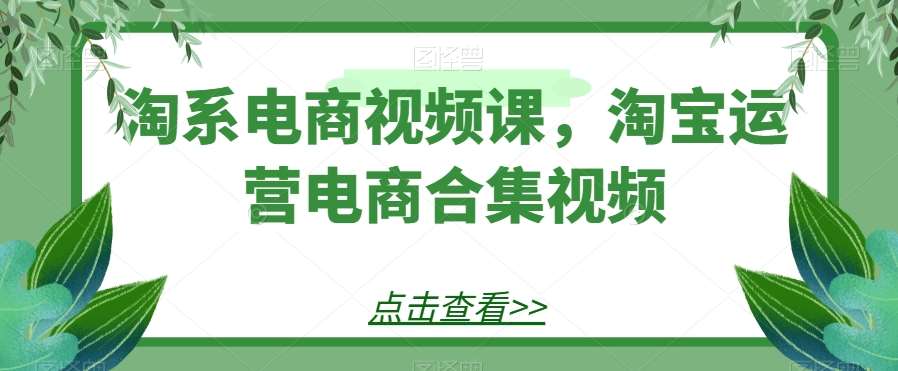 淘系电商视频课，淘宝运营电商合集视频网赚项目-副业赚钱-互联网创业-独家轻创IP星泽云创