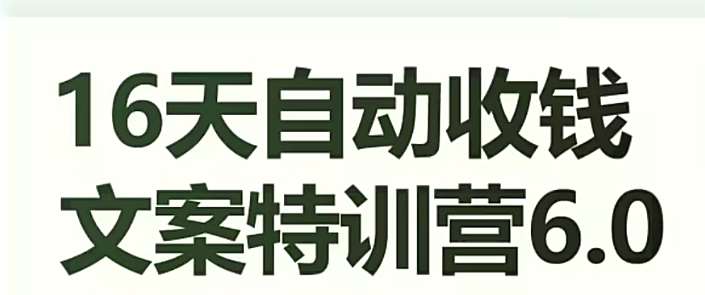 16天自动收钱文案特训营6.0，学会儿每天自动咔咔收钱网赚项目-副业赚钱-互联网创业-独家轻创IP星泽云创