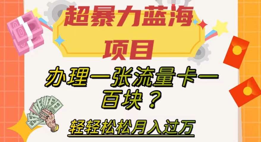 超暴力蓝海项目，办理一张流量卡一百块？轻轻松松月入过万，保姆级教程【揭秘】网赚项目-副业赚钱-互联网创业-独家轻创IP星泽云创