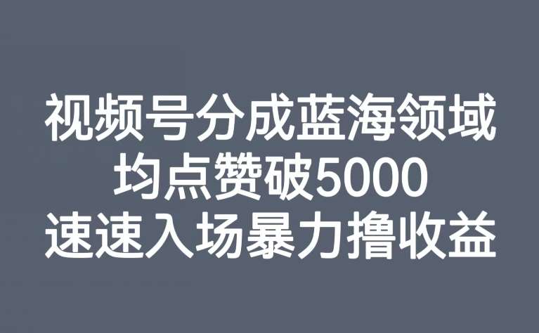 视频号分成蓝海领域，均点赞破5000，速速入场暴力撸收益网赚项目-副业赚钱-互联网创业-独家轻创IP星泽云创